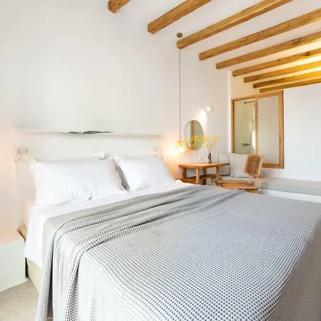 Apartment Anemomylos Naousa (Paros)