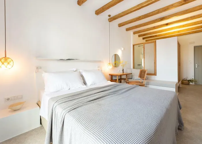 شقة Anemomylos ناوسا